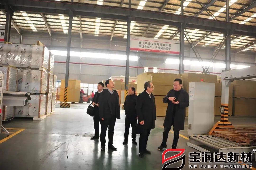 懷寧縣委領導蒞臨寶潤達參觀交流 懷寧縣委領導蒞臨寶潤達參觀交流